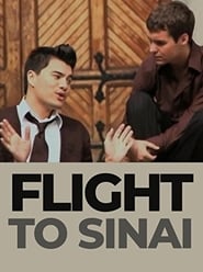 Poster Flight to Sinai