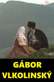 G&aacute;bor Vlkolinsk&yacute; (1978)