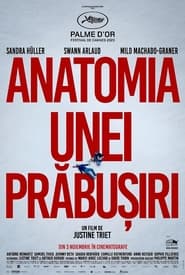 Anatomia unei prăbușiri (2023)