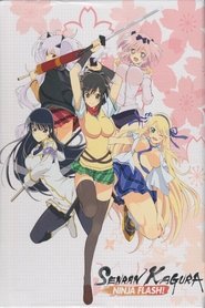 Senran Kagura: Ninja Flash постер