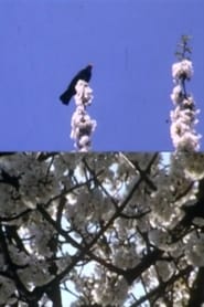 Poster Mourning Garden Blackbird 1984