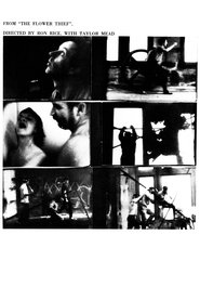 Poster The Flower Thief 1962