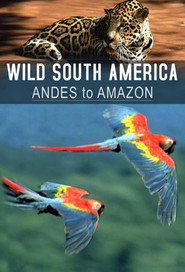 Andes to Amazon постер