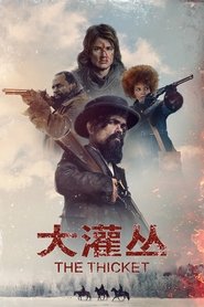 大灌丛 (2024)