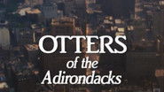 Otters of the Adirondacks