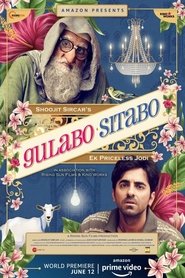 Download Gulabo Sitabo (2020) Hindi Movie HdRip 480p,720p,1080p