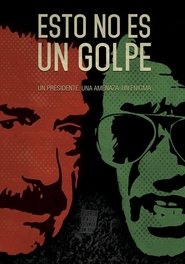 Poster This Is Not a Coup 2018