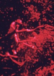 Poster Island Fuse 1971