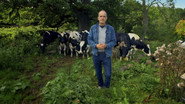 Somerset: The Concrete Cow-Shed