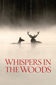Whispers in the Woods