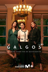 Galgos постер