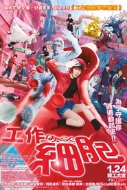 工作细胞 真人版 （2024-12-13）