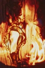 Poster Friendly Fire 2003