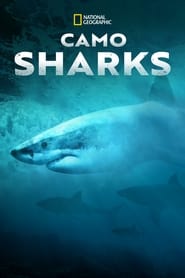 Camo Sharks (2022) HD