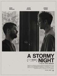A Stormy Night (2020)