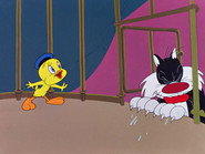 I Taw a Putty Tat