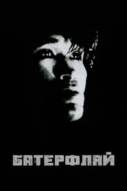 Poster Batterflyay 1993