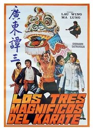 Poster Invincible Boxer 1973