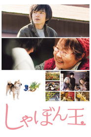 Where I Belong (2017)