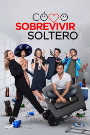 How to Survive Being Single постер
