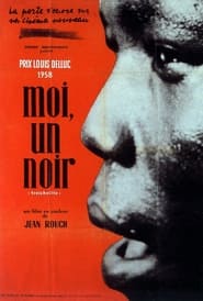 Poster Moi, un noir