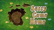 Sassy Come Home