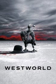 Westworld (TV Shows 2016)