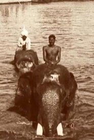 Edward Prince of Wales' Tour of India: Indore, Bhopal, Gwalior and Delhi (1922)