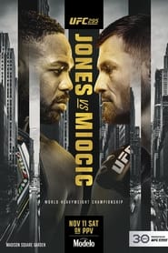 UFC 295: Prochazka vs. Pereira постер