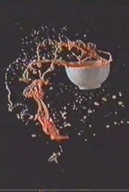 Poster Déserts 1994