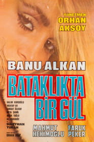 Poster Bataklıkta Bir Gül