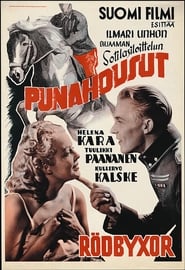 Poster Punahousut