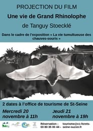 Poster Une vie de Grand Rhinolophe