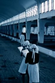 Pentimento) Pentimento (1979)