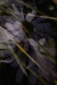 Archéologie de la lumière