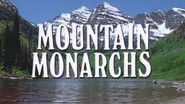 Mountain Monarchs