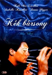 Kék bársony poszter