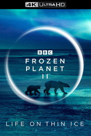 Frozen Planet II poster