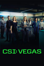 CSI: Vegas постер