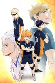 Haikyu!! poster