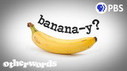 Why Are There So Few Words for Smells?