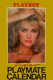 Poster Playboy Video Playmate Calendar 1990 1989