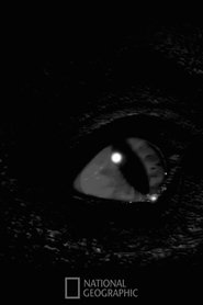 Prehistoric Monsters Revealed 2008 Бесплатан неограничен приступ