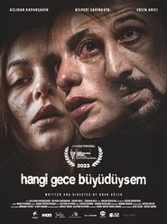 Poster Hangi Gece Büyüdüysem