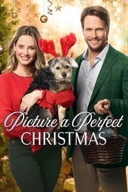 Poster Picture a Perfect Christmas 2019