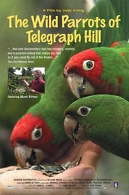 Poster for The Wild Parrots of Telegraph Hill