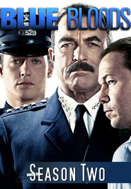 Blue Bloods Season 2 6