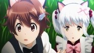 Akihabara