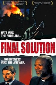 Final Solution постер