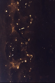 The End of the World